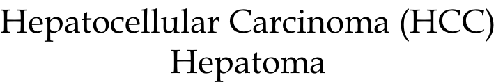 Hepatocellular Carcinoma (HCC) Hepatoma